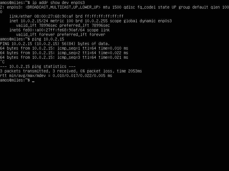ping 10.0.2.15 works from the inside